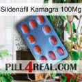 Sildenafil Kamagra 100Mg 06